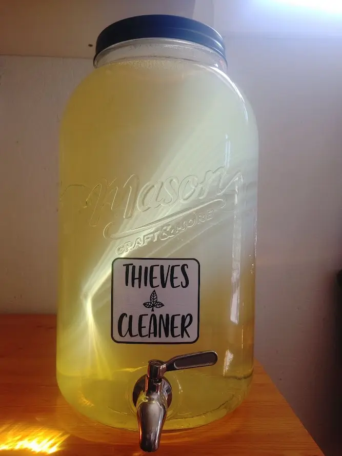 Thieves All-Purpose Cleaner (Refillary)