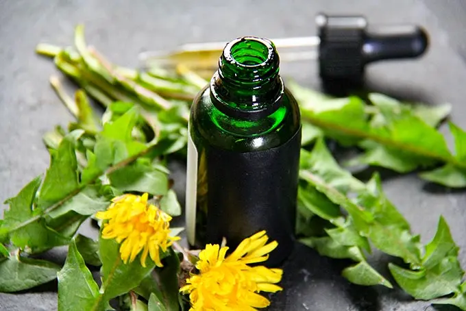 Dandelion Tincture 30ml