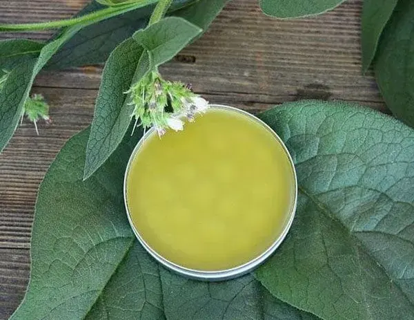 Comfrey Salve