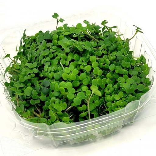 Farm to Table Fresh Microgreens 90g