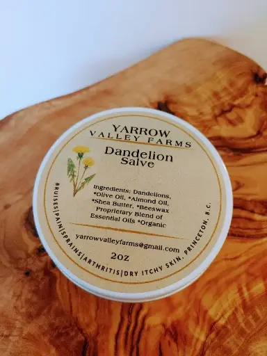 Dandelion Salve